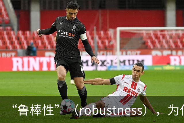 “鲁棒性”（robustness），为什么是糟糕的翻译？