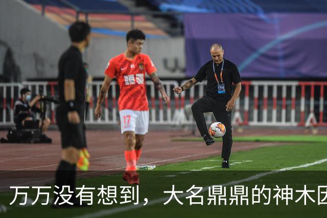 万万没有想到，大名鼎鼎的神木因为一根灯杆火了......