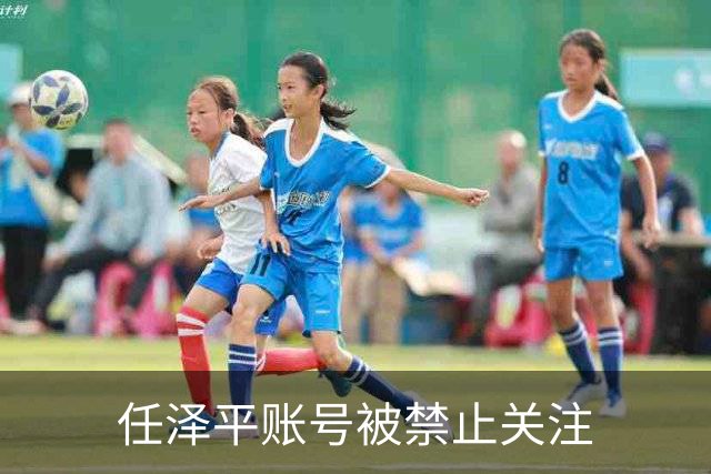 任泽平账号被禁止关注