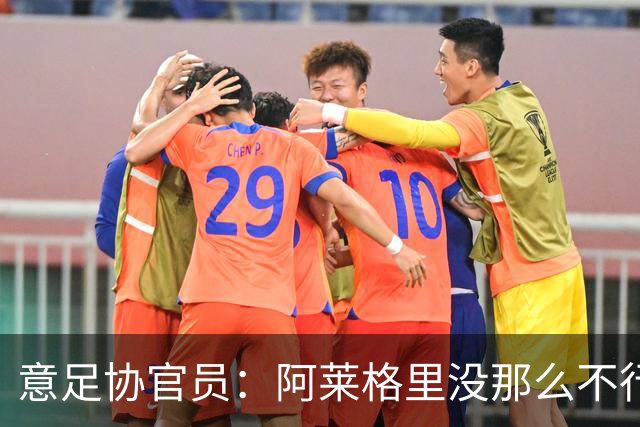 意足协官员：阿莱格里没那么不行，其与丁丁的争执或激发斗志