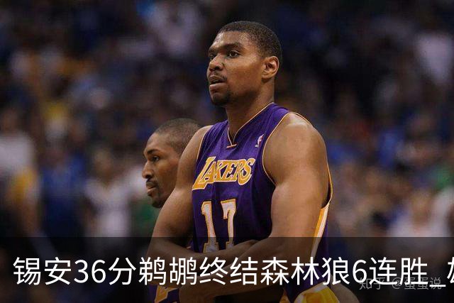 锡安36分鹈鹕终结森林狼6连胜 雄鹿险胜公牛