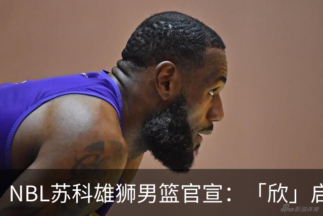 NBL苏科雄狮男篮官宣：「欣」启新章，欢迎王欣瑞加盟